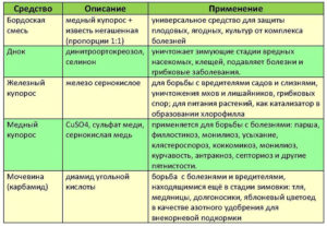 Обработка растений и грунта медным купоросом: в саду, огороде, теплице, препараты, сроки и правила опрыскивания, другие весенние работы