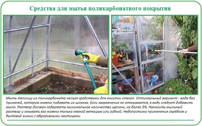 Обработка теплицы из поликарбоната весной: чем и как обеззаразить, мыть, как обогреть, другие работы в парнике