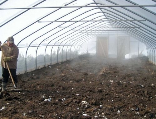 Обработка теплицы из поликарбоната весной: чем и как обеззаразить, мыть, как обогреть, другие работы в парнике