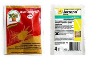 Обзор лучших препаратов от тли