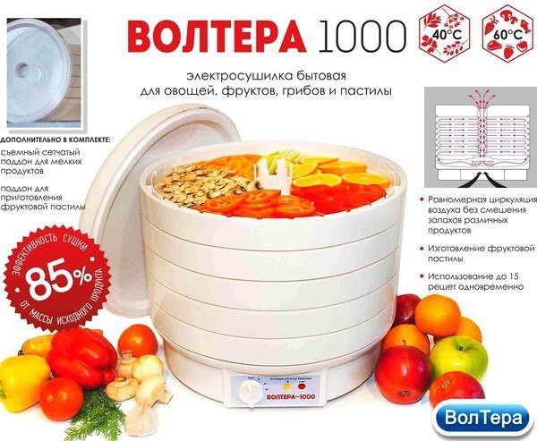 Обзор популярных сушилок-дегидраторов для овощей и фруктов ezidri и вольтера