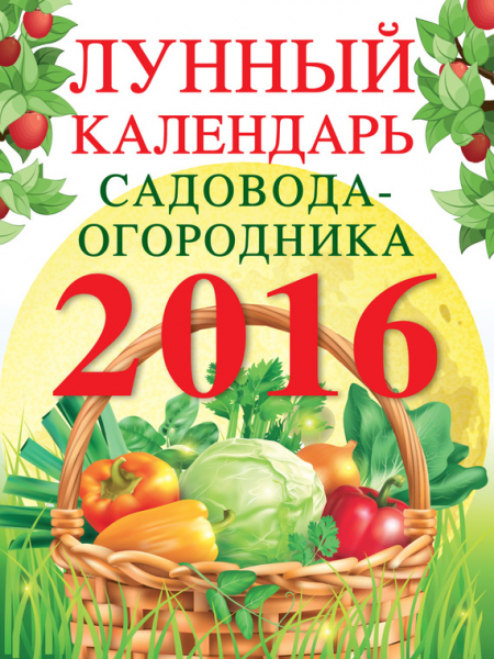Огород без хлопот: советы галины кизимы, можно ли не поливать, не копать, не полоть, альтернативные агротехнические мероприятия