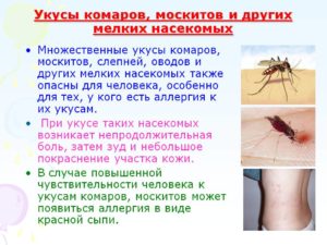 Описание и фото москитов