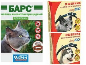 Ошейник барс от блох для кошек и собак