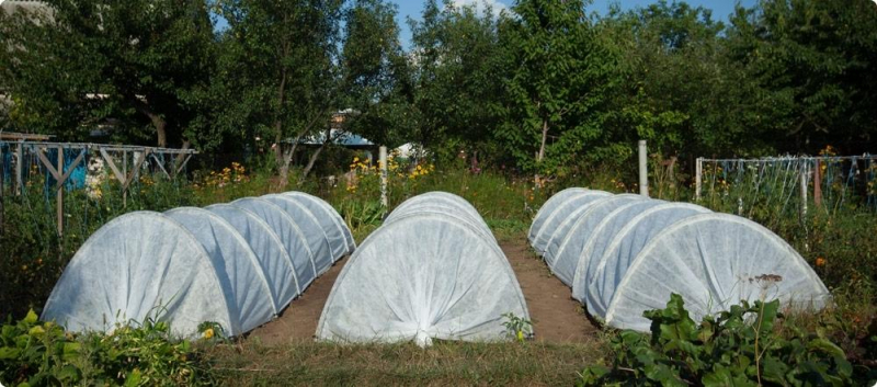 Парник подснежник: ужасные отзывы покупателей, теплица башагропласт своими руками, размеры, понравилось ли