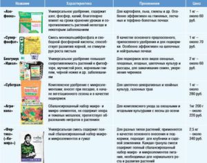 Подкормка перца в теплице и на огороде: сведения о необходимых элементах для питания, виды подкормок, способы внесения, сроки внесения, советы