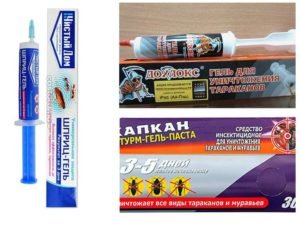 Порошки от тараканов: виды и как их использовать