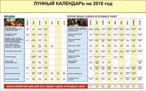 Посадка арбузов в 2018 году по лунному календарю: кода сажать на рассаду, благоприятные и неблагоприятные дни