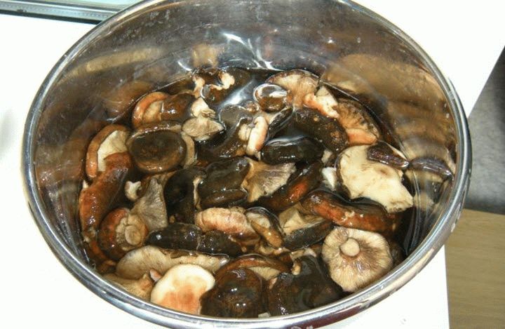 Пошаговый рецепт маринованных опят: на зиму, посолить, с картинками, в домашних условиях, вкусно, осенние, в банках, голодным способом, горячим