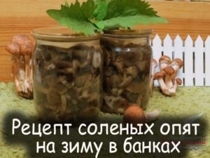 Пошаговый рецепт маринованных опят: на зиму, посолить, с картинками, в домашних условиях, вкусно, осенние, в банках, голодным способом, горячим