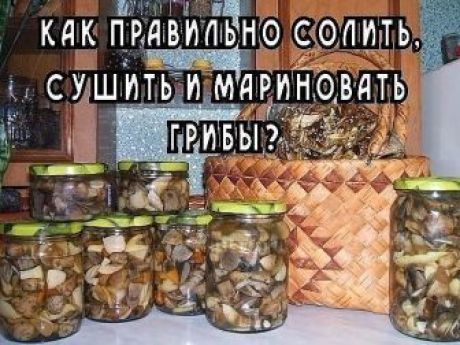 Пошаговый рецепт маринованных опят: на зиму, посолить, с картинками, в домашних условиях, вкусно, осенние, в банках, голодным способом, горячим