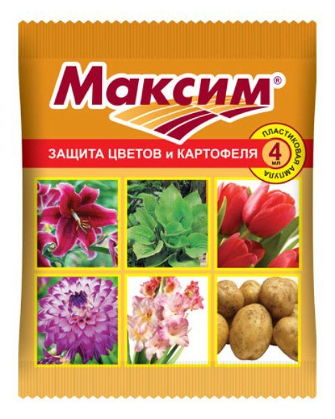 Препарат максим: состав средства, фото, инструкция по применению для протравливания почвы, обработки растений, цветов