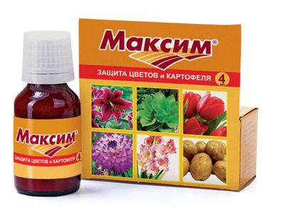 Препарат максим: состав средства, фото, инструкция по применению для протравливания почвы, обработки растений, цветов