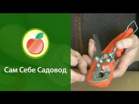 Прививочный секатор для прививки деревьев: своими руками, профессиональный белорусский, чертежи, как пользоваться