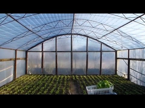 Промышленная теплица: как сделать своими руками, строительство, с отоплением, чертеж, размеры