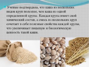 Просо обыкновенное: как растет, выглядит, плод представляет собой, польза крупы, полезные свойства, вред, фото