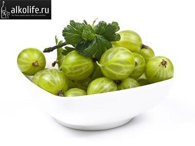 Простой рецепт вина из крыжовника в домашних условиях с фото