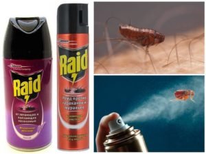 Raid от блох