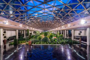 Растения атриума элитного жилого комплекса класса deluxe diadema club house