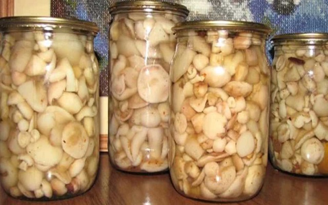 Рецепт маринованных маслят: на зиму, приготовление, в домашних условиях, без стерилизации, в банках, грибы, простой, замороженные, фото и видео