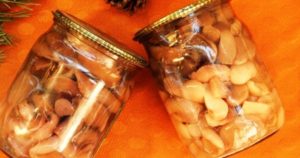 Рецепт маринованных маслят: на зиму, приготовление, в домашних условиях, без стерилизации, в банках, грибы, простой, замороженные, фото и видео