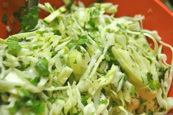 Рецепты приготовления пекинской капусты: маринованная, быстро, в домашних условиях, китайская, нужно мыть, острая, салат, со свеклой, фото и видео