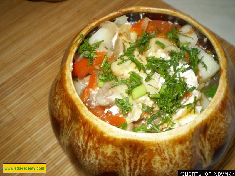 Рецепты запеканок из курицы с грибами: в духовке, мультиварке, с картошкой, помидорами, сыром