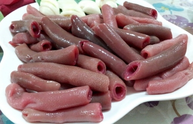 Рыба-пенис – описание и фото