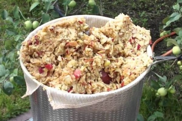 Самогон из мезги (яблочной или виноградной): быстрый и эффективный рецепт приготовления