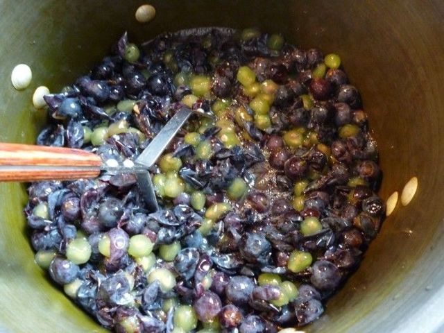 Самогон из мезги (яблочной или виноградной): быстрый и эффективный рецепт приготовления