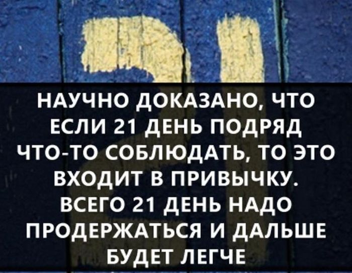 Самые интересные факты обо всем