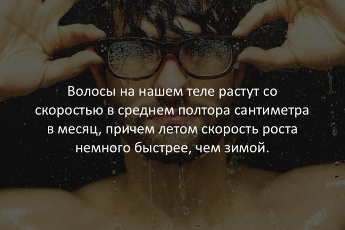 Самые интересные факты обо всем