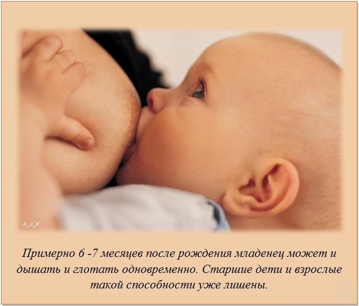Самые интересные факты обо всем