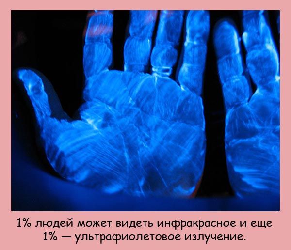 Самые интересные факты обо всем