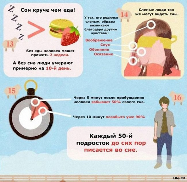 Секреты здорового сна – интересные факты