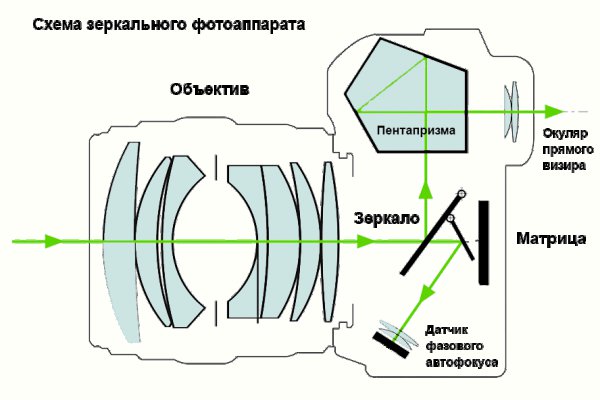 Схема устройства и принцип работы основных частей зеркального фотоаппарата