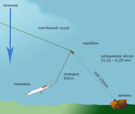 Снасти для рыбалки на сома