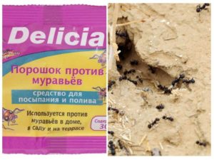 Сода против муравьев в огороде