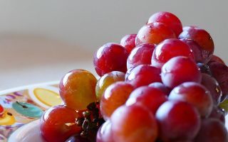 Состав вина: содержание кислот, витаминов и микроэлементов в напитке
