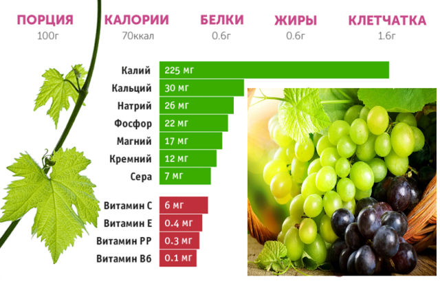 Состав вина: содержание кислот, витаминов и микроэлементов в напитке
