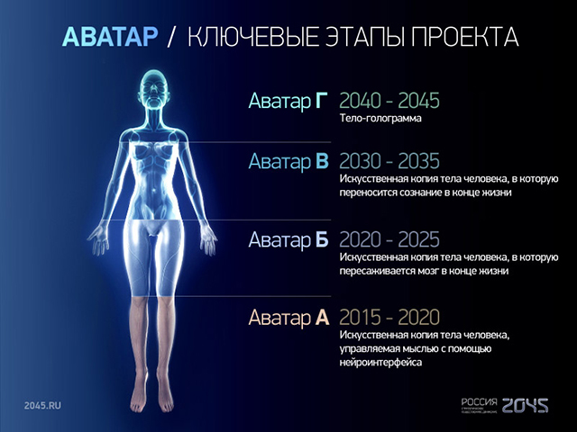 Создана система «искусственного тела человека»