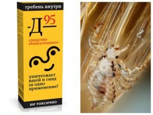 Средство д 95 от вшей и гнид