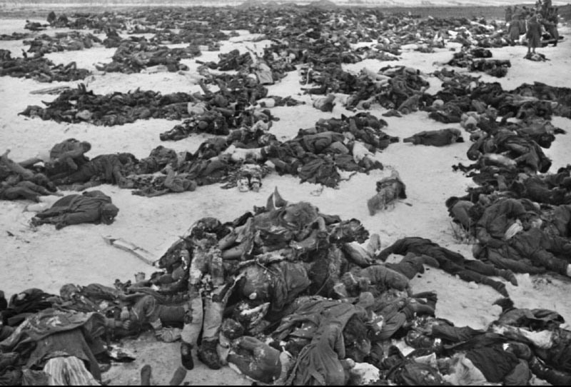 Сталинградская битва – краткая история, числа и факты
