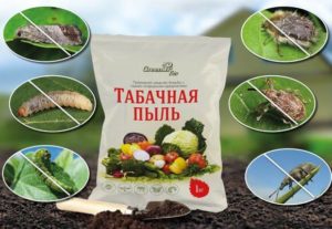 Табак против тли