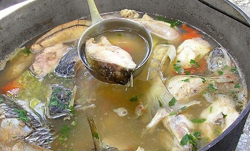 Уха на костре: простой и вкусный рецепт