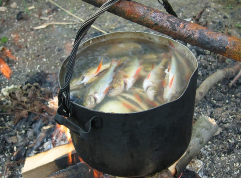 Уха на костре: простой и вкусный рецепт