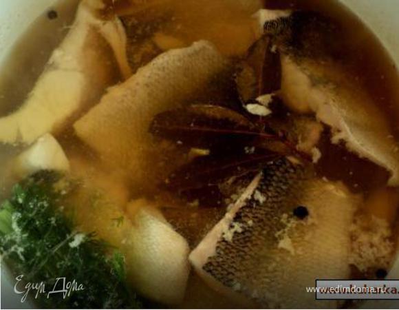 Уха на костре: простой и вкусный рецепт