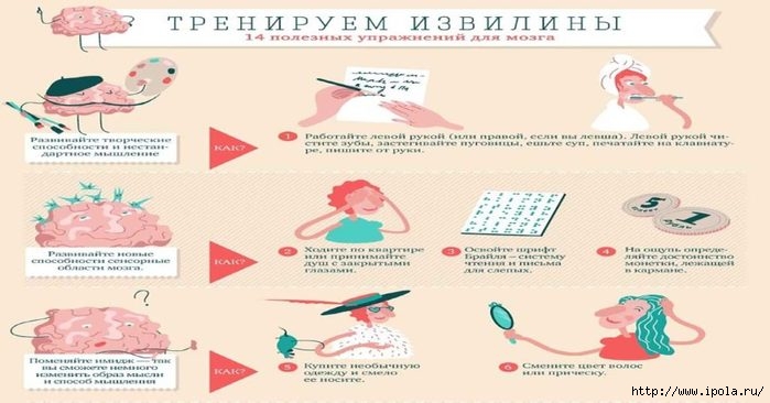 Упражнения для мозга – 14 полезных советов
