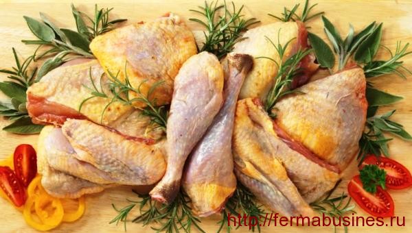 В чем польза мяса цесарки и есть ли вред