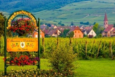 Вина Alsace (Эльзаса) — французско-германское наследие
